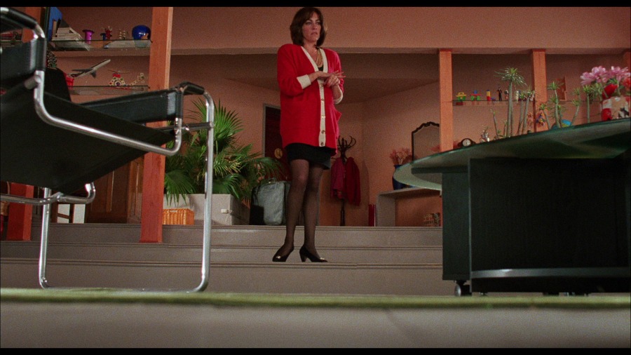 Screen capture from Women on the Verge of a Nervous Breakdown