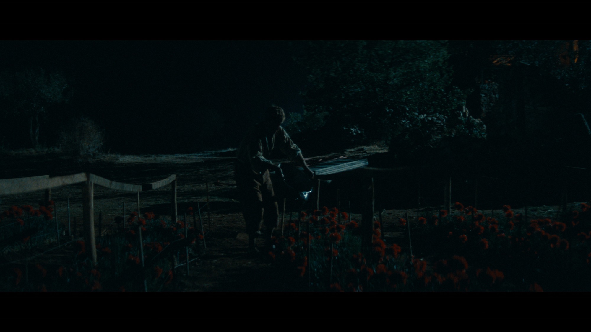 Screen capture from Jean de Florette / Manon of the Spring: Two Films by Claude Berri