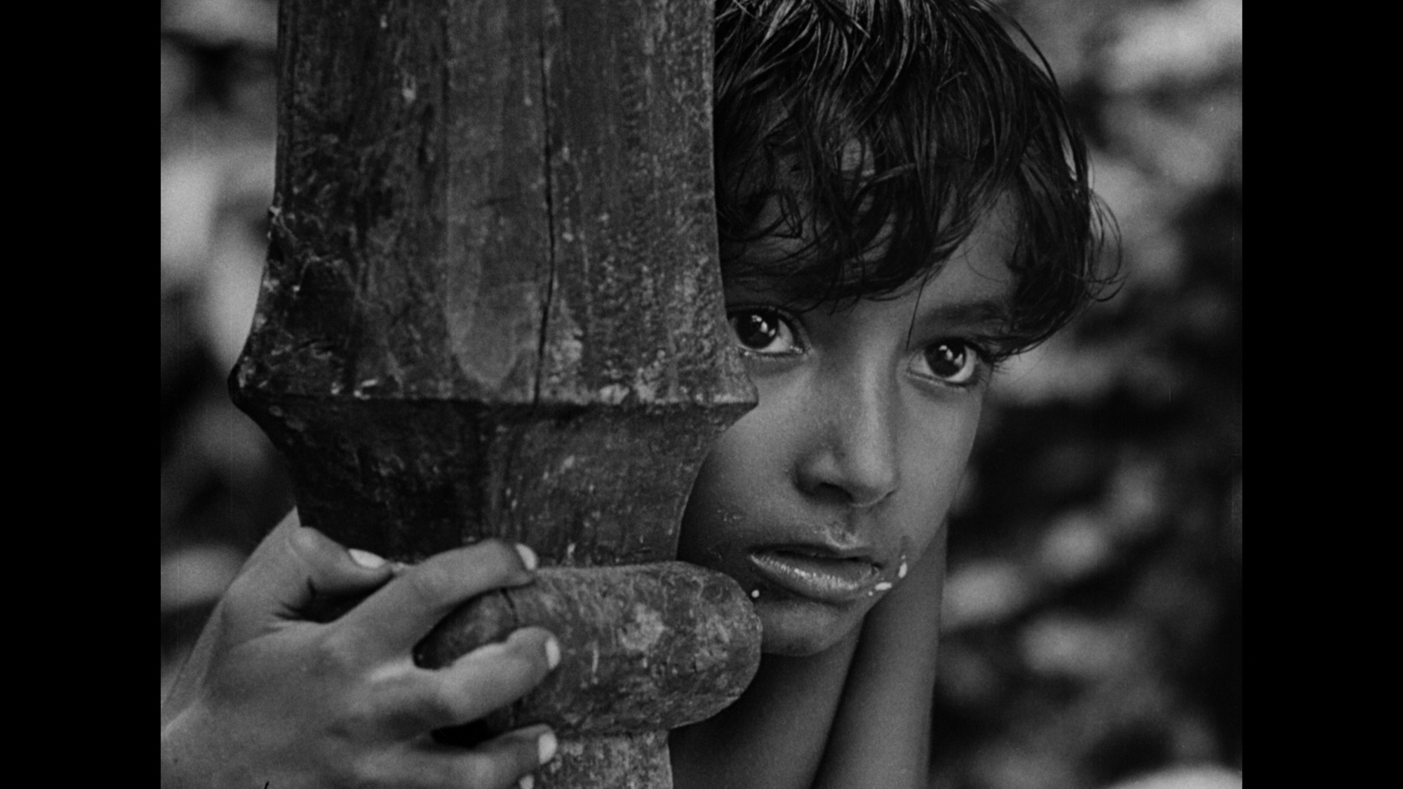 Screen capture from Pather Panchali