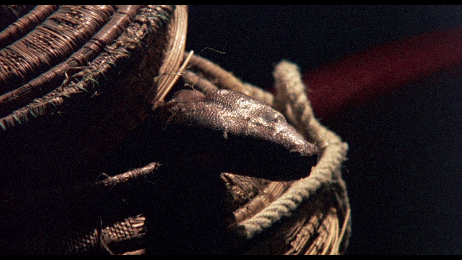 Screen capture from Adventures of a Taxi Driver