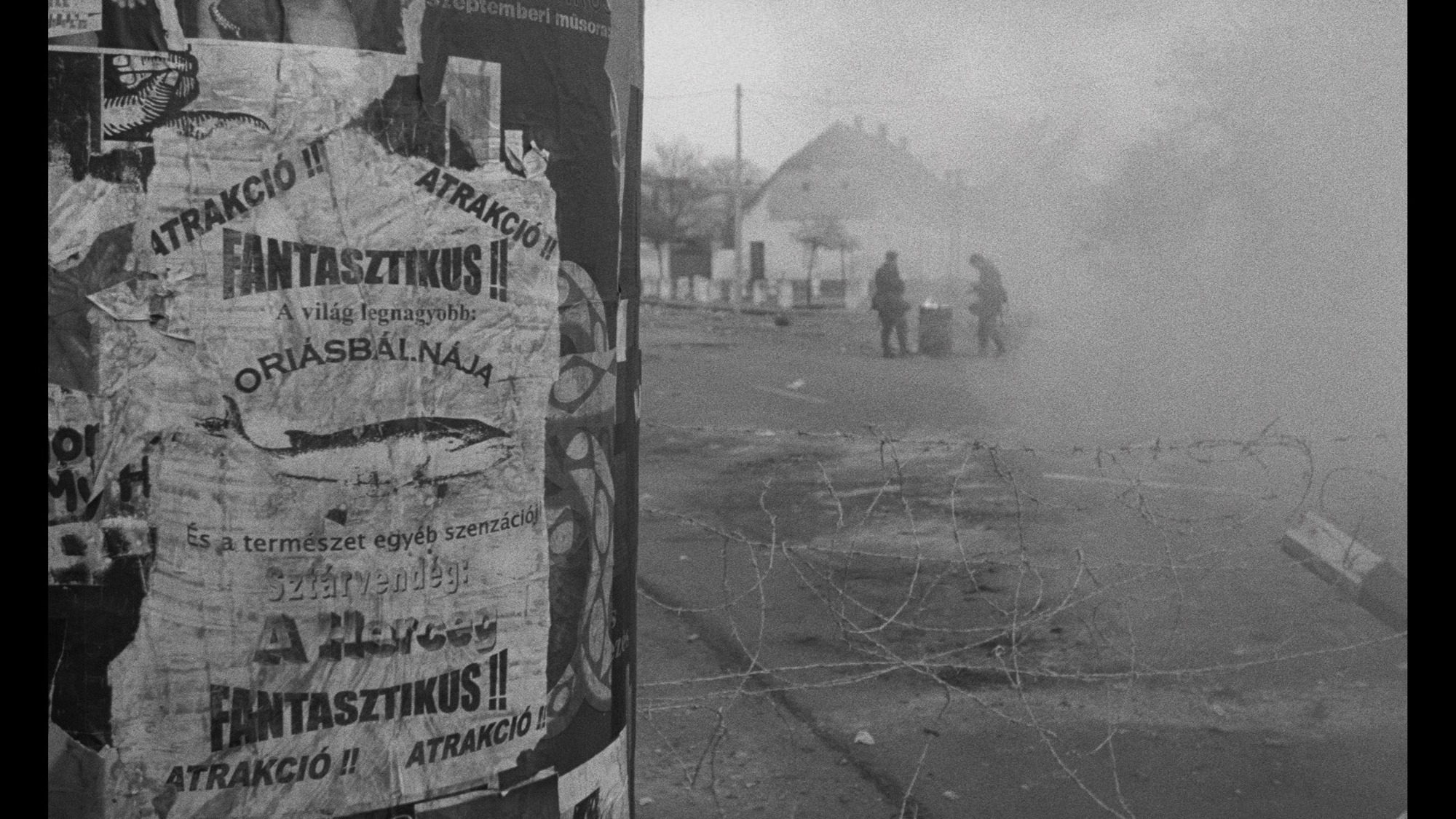 Screen capture from Werckmeister Harmonies
