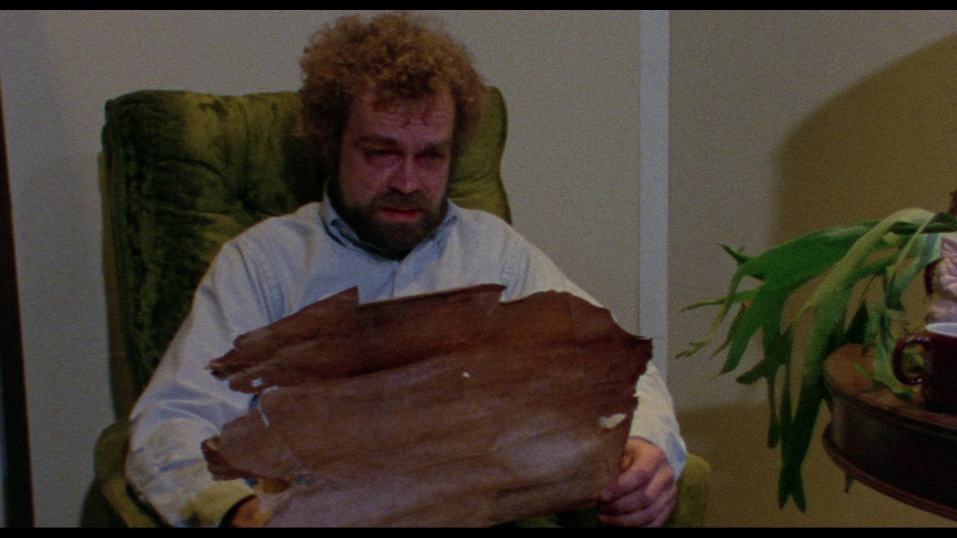 Screen capture from Weird Wisconsin: The Bill Rebane Collection