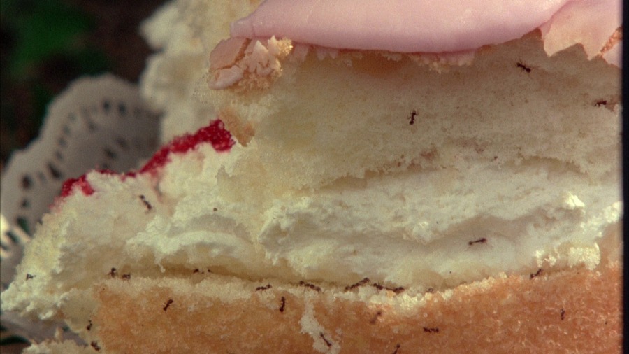 Screen capture from Picnic at Hanging Rock