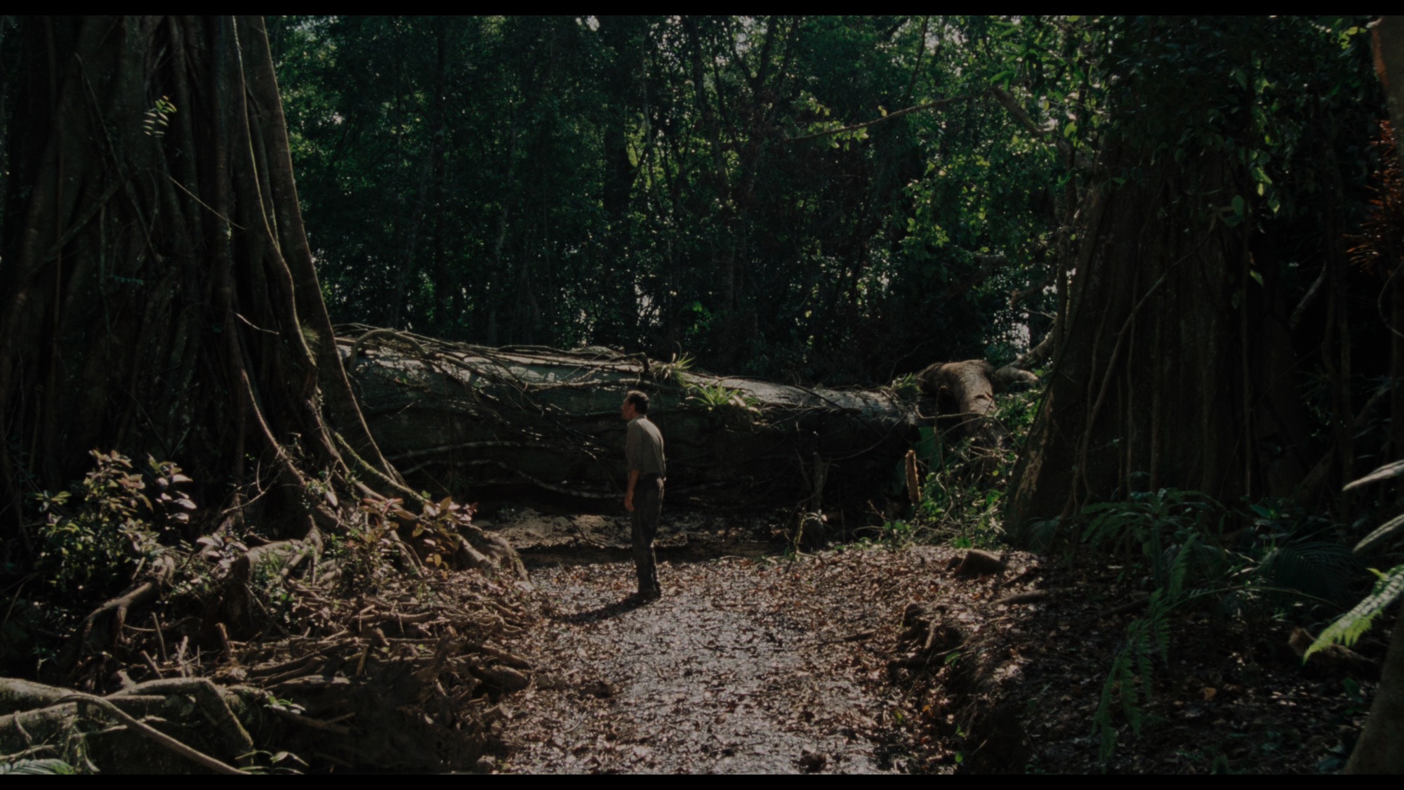 Screen capture from Sorcerer