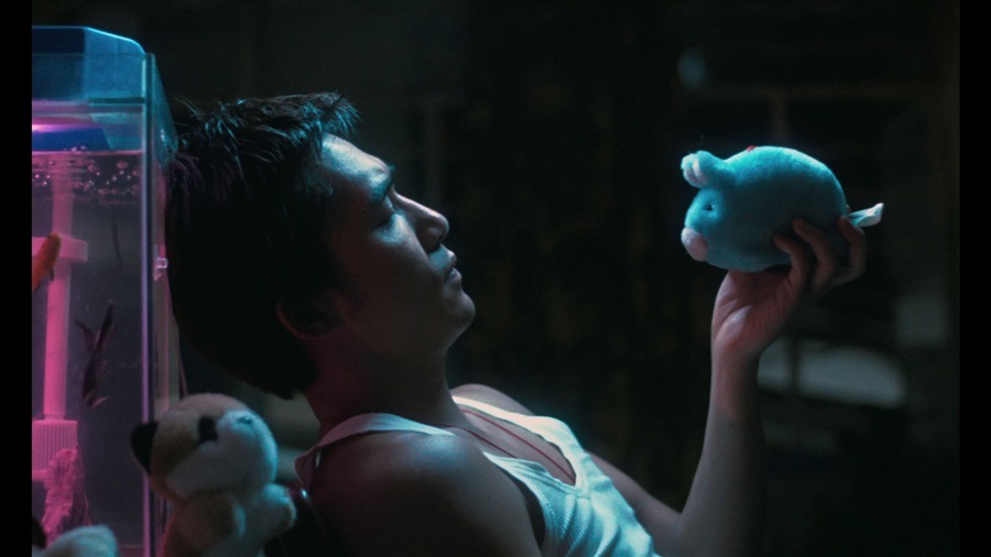 Screen capture from World of Wong Kar Wai