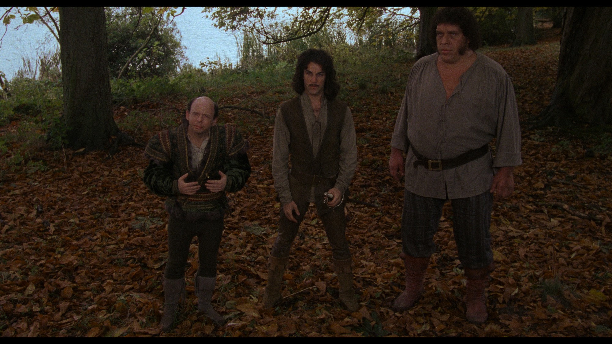 Screen capture from The Princess Bride