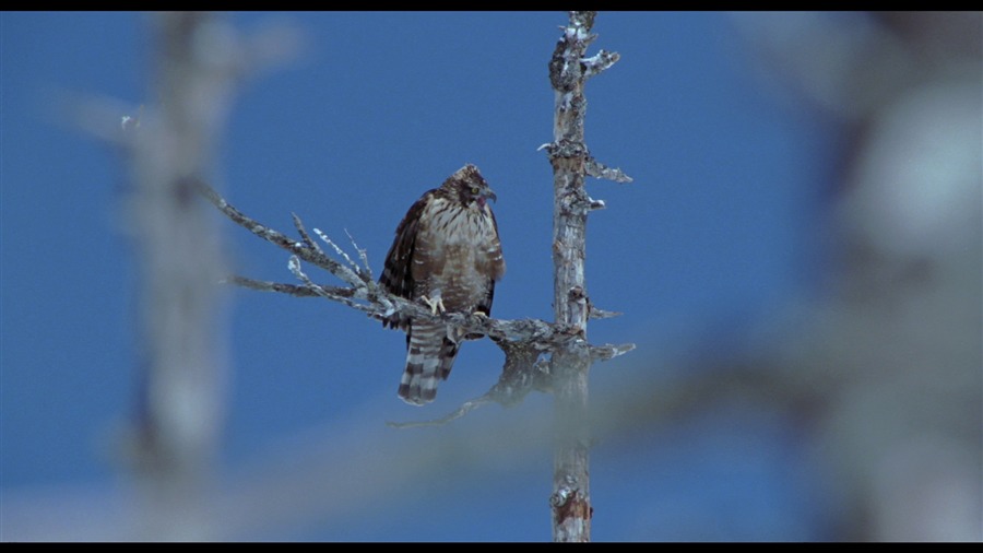 Screen capture from The Ballad of Narayama