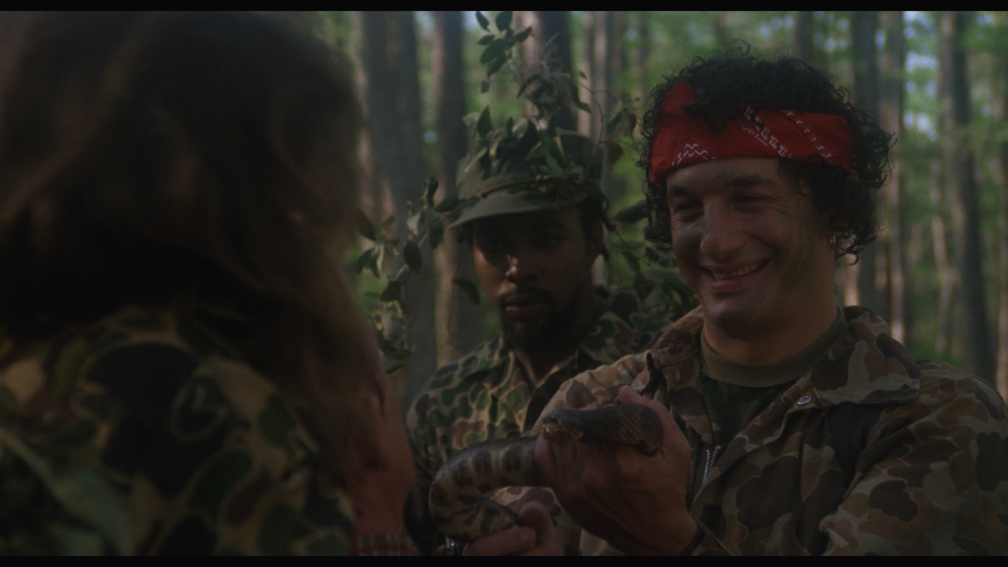 Screen capture from Swamp Thing