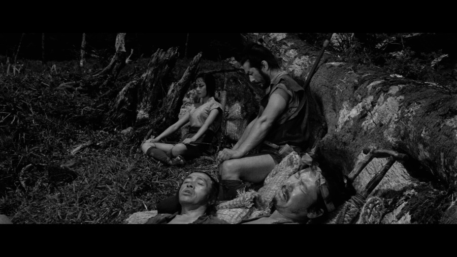 Screen capture from The Hidden Fortress