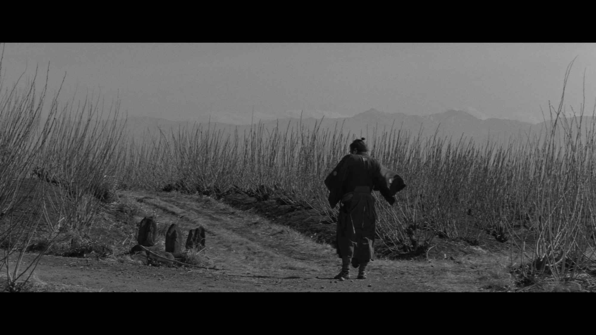 Screen capture from Yojimbo
