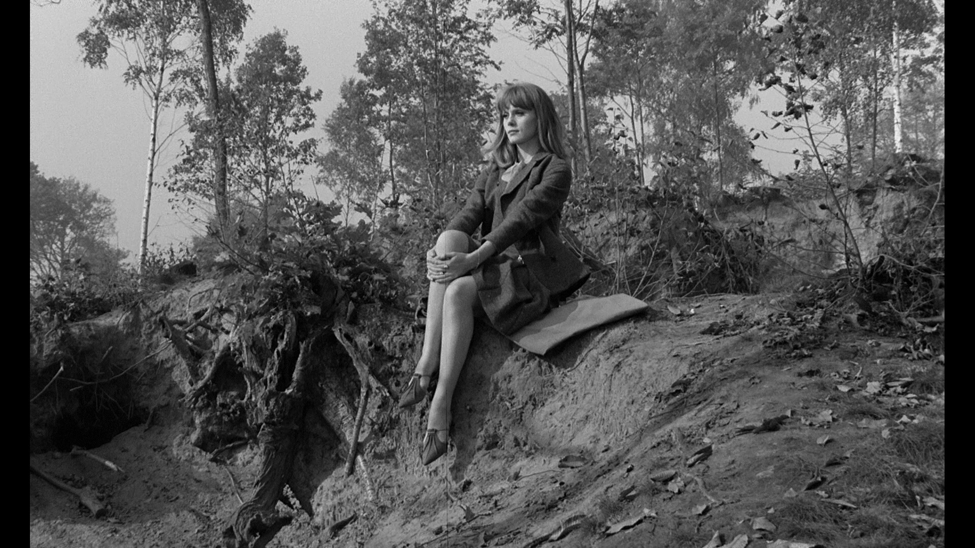 Screen capture from La peau douce
