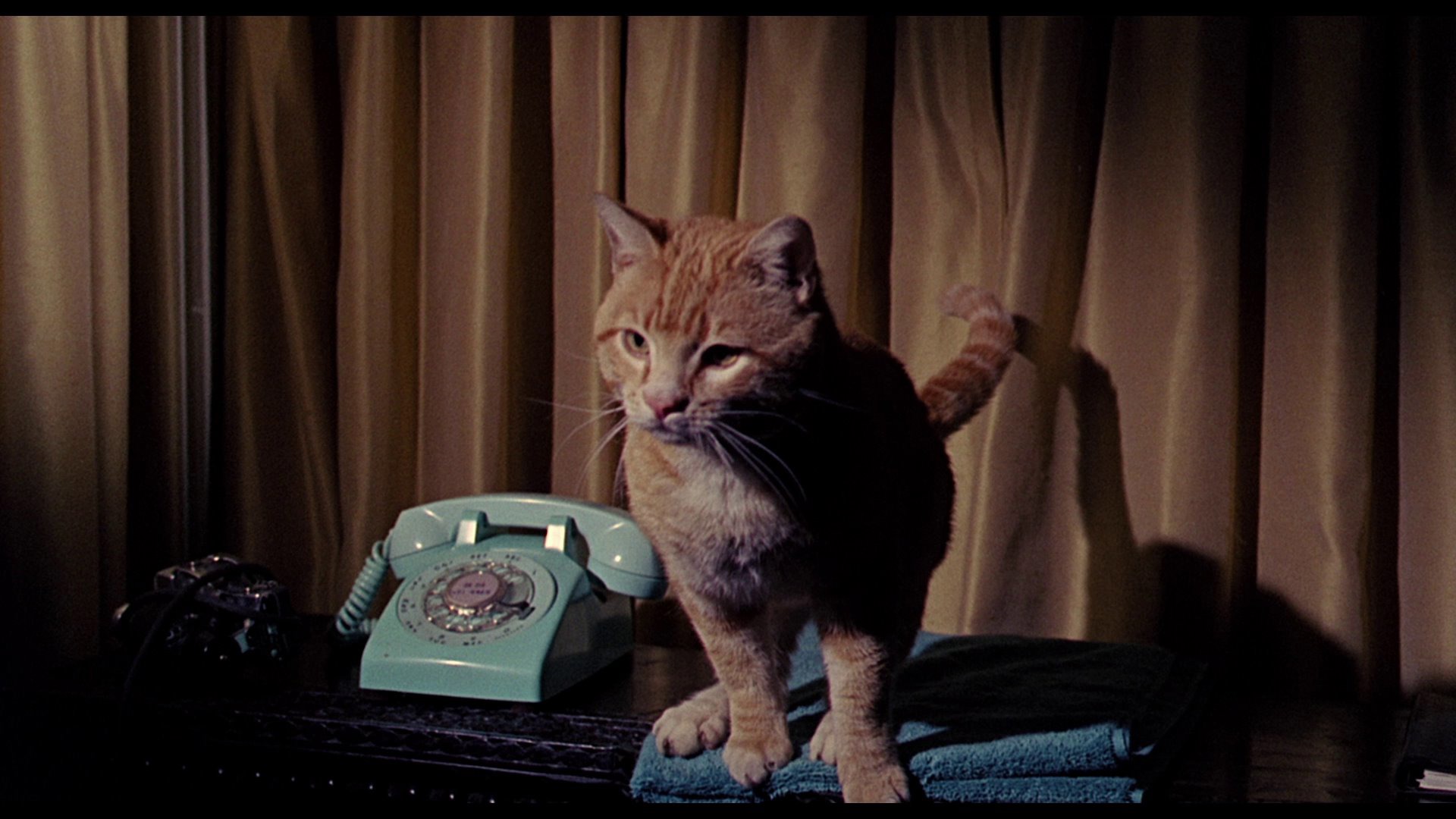 Screen capture from Eye of the Cat