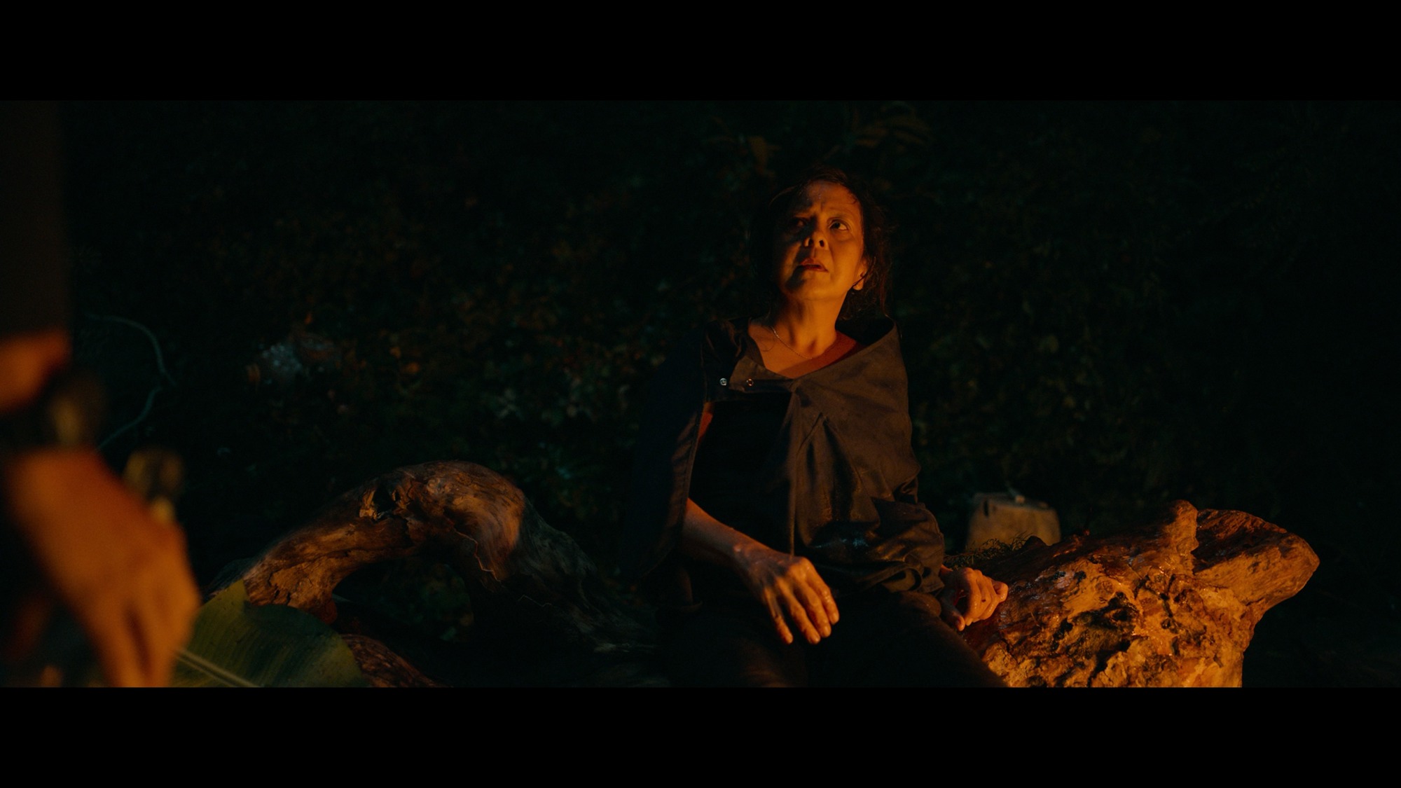 Screen capture from Triangle of Sadness