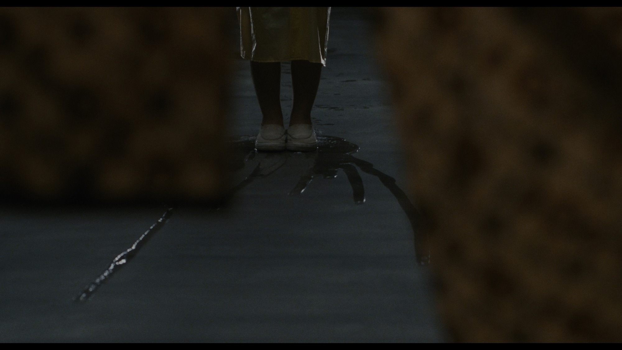 Screen capture from Dark Water