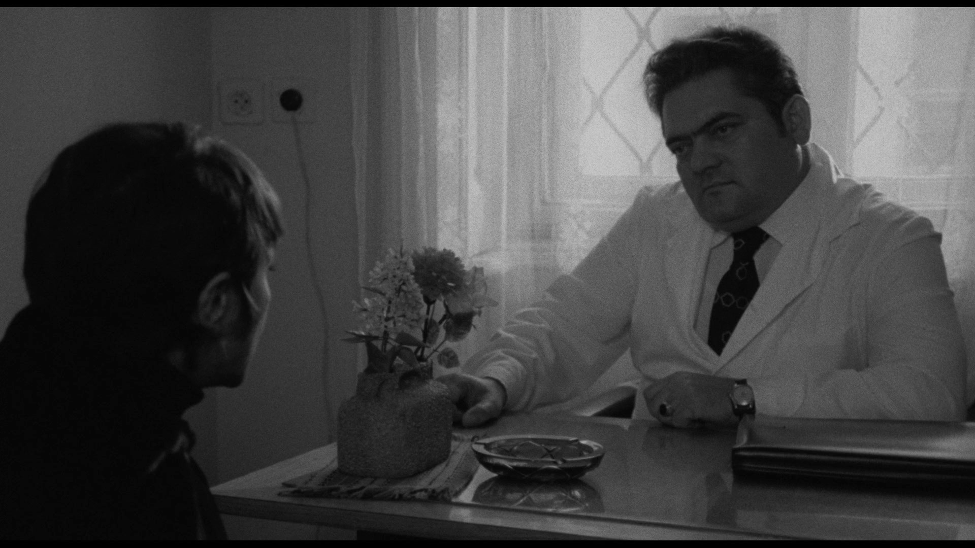 Screen capture from Adoption