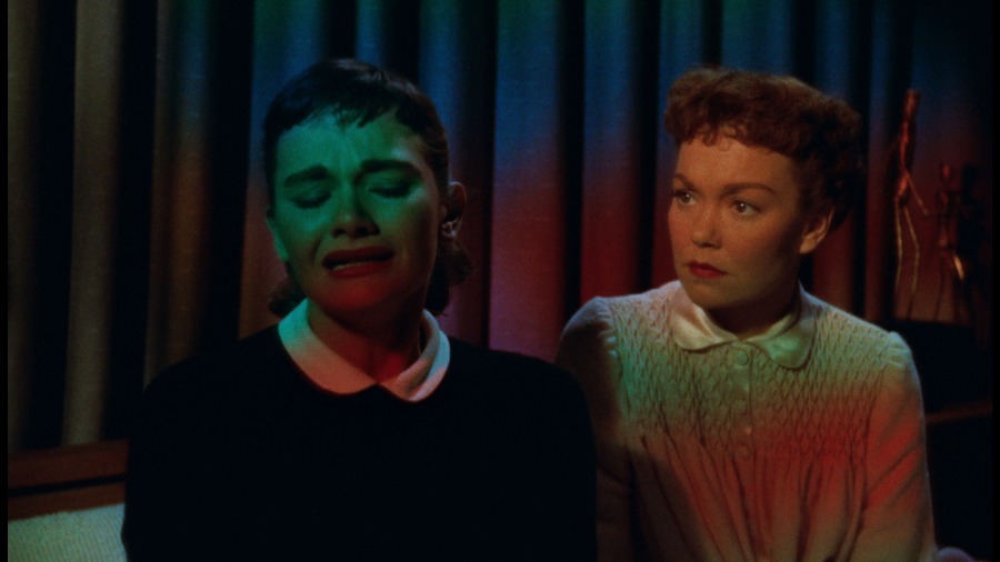 Screen capture from All That Heaven Allows