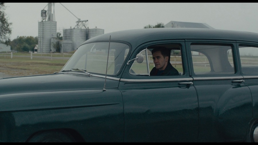 Screen capture from Wildlife
