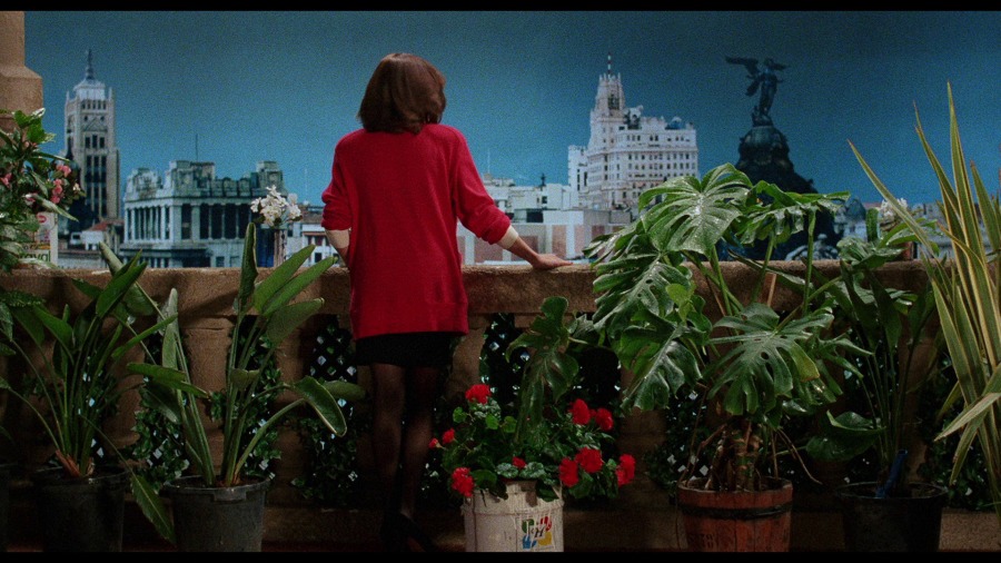 Screen capture from Women on the Verge of a Nervous Breakdown