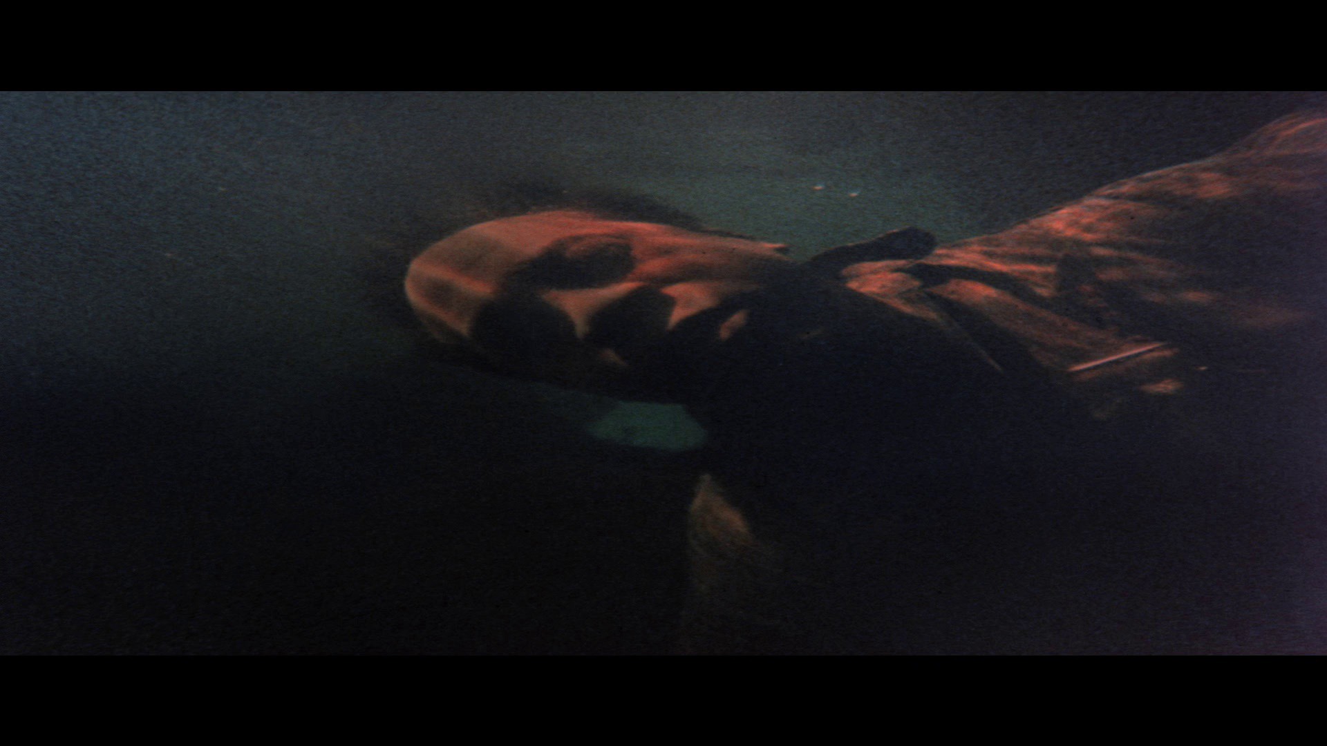 Screen capture from The Learning Tree
