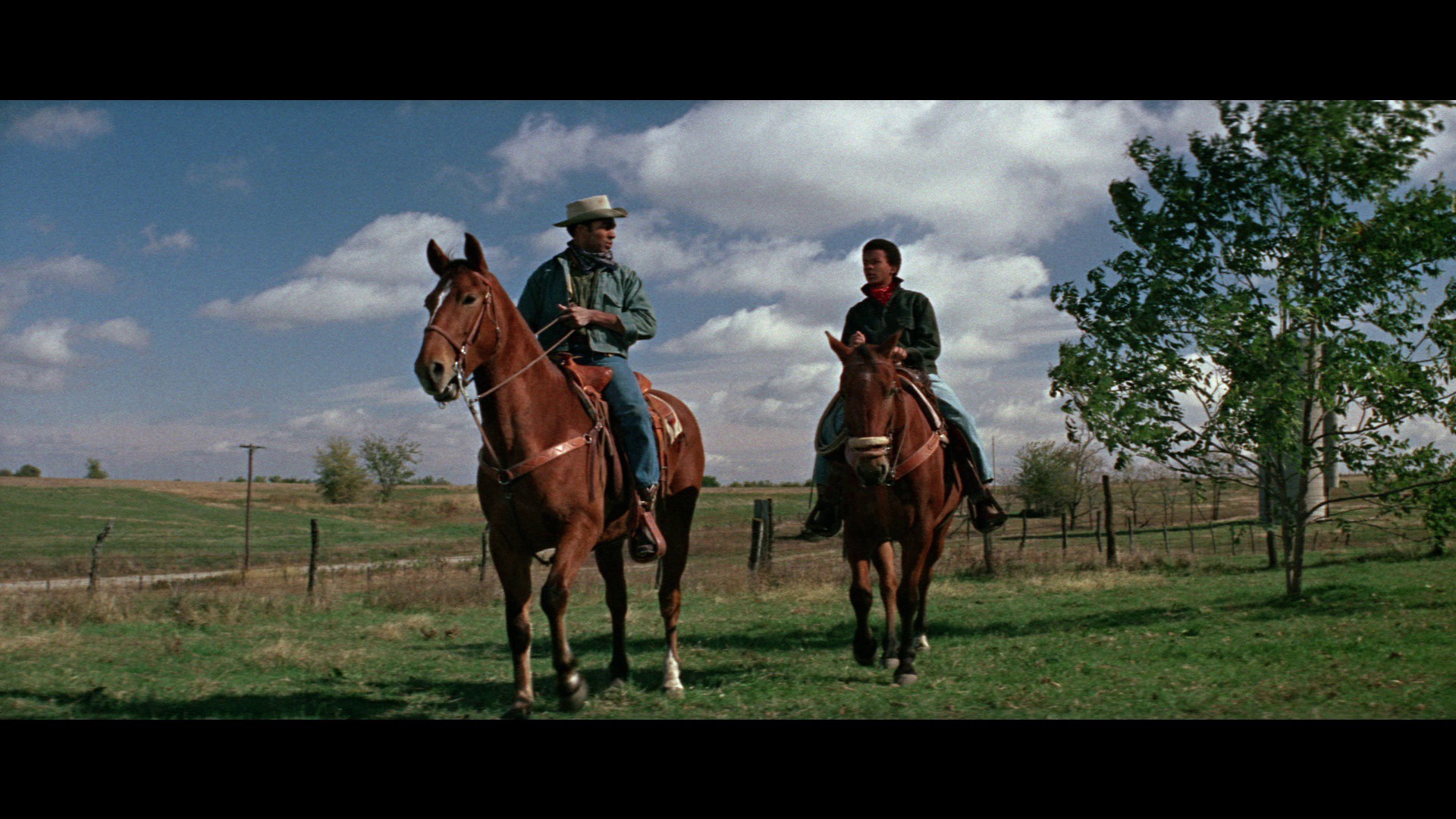 Screen capture from The Learning Tree