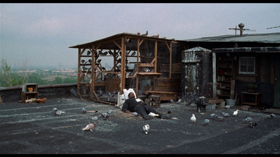 Screen capture from Ghost Dog: The Way of the Samurai