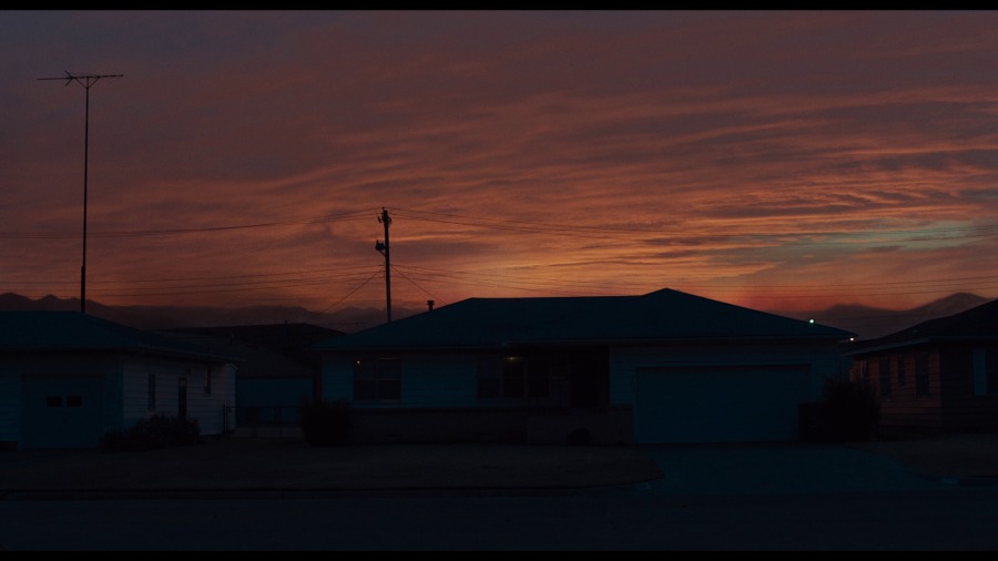 Screen capture from Wildlife