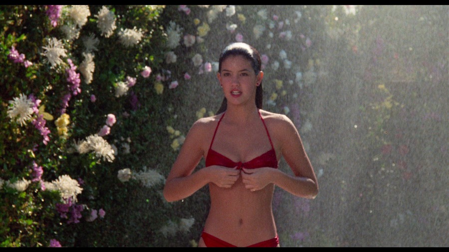 Screen capture from Fast Times at Ridgemont High