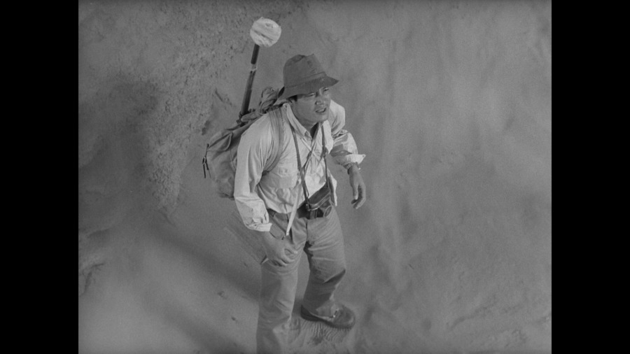 Screen capture from Woman in the Dunes