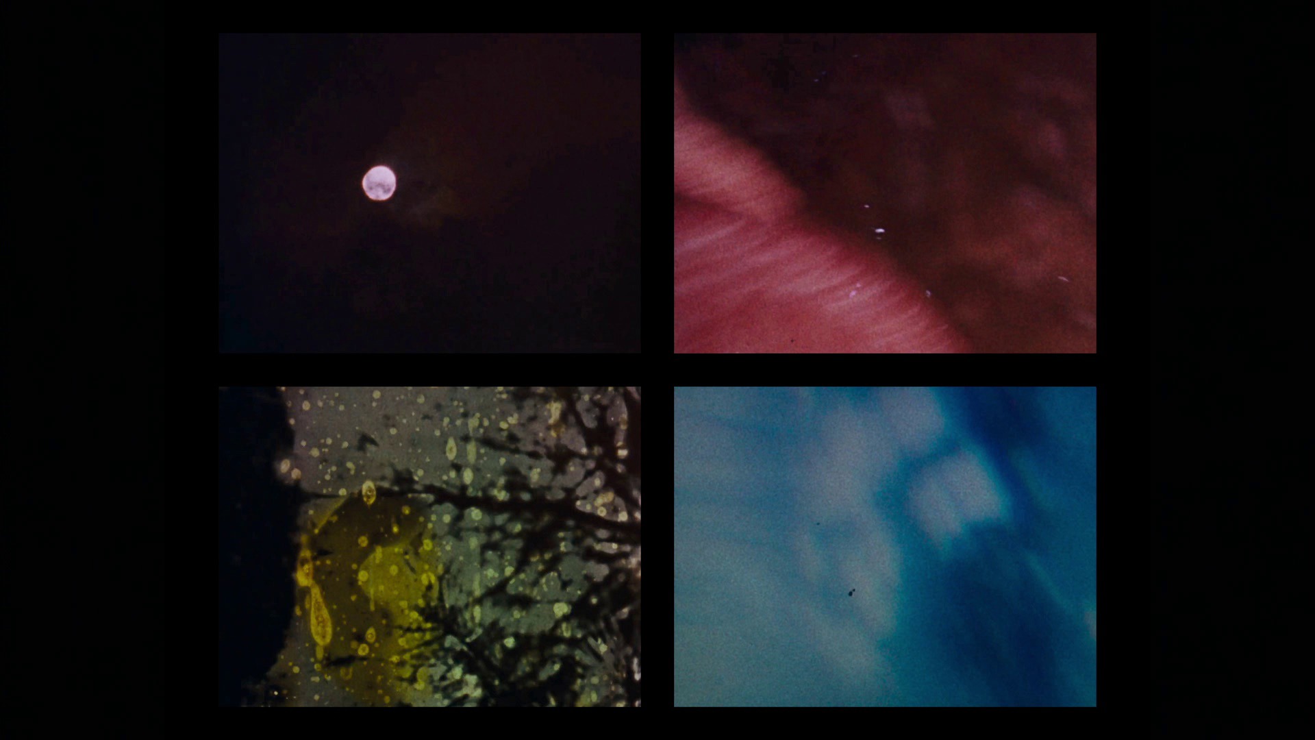 Screen capture from The Velvet Underground