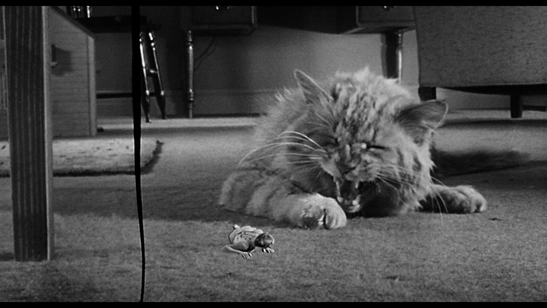 Screen capture from The Incredible Shrinking Man