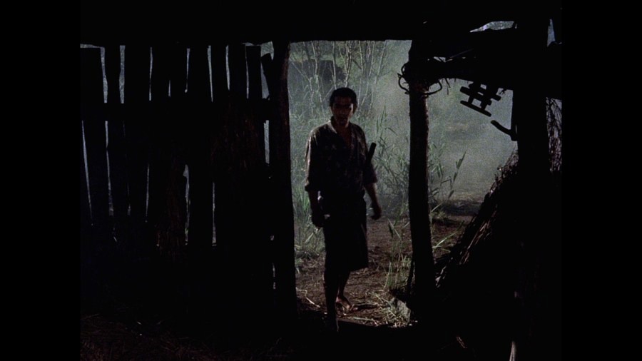 Screen capture from The Samurai Trilogy