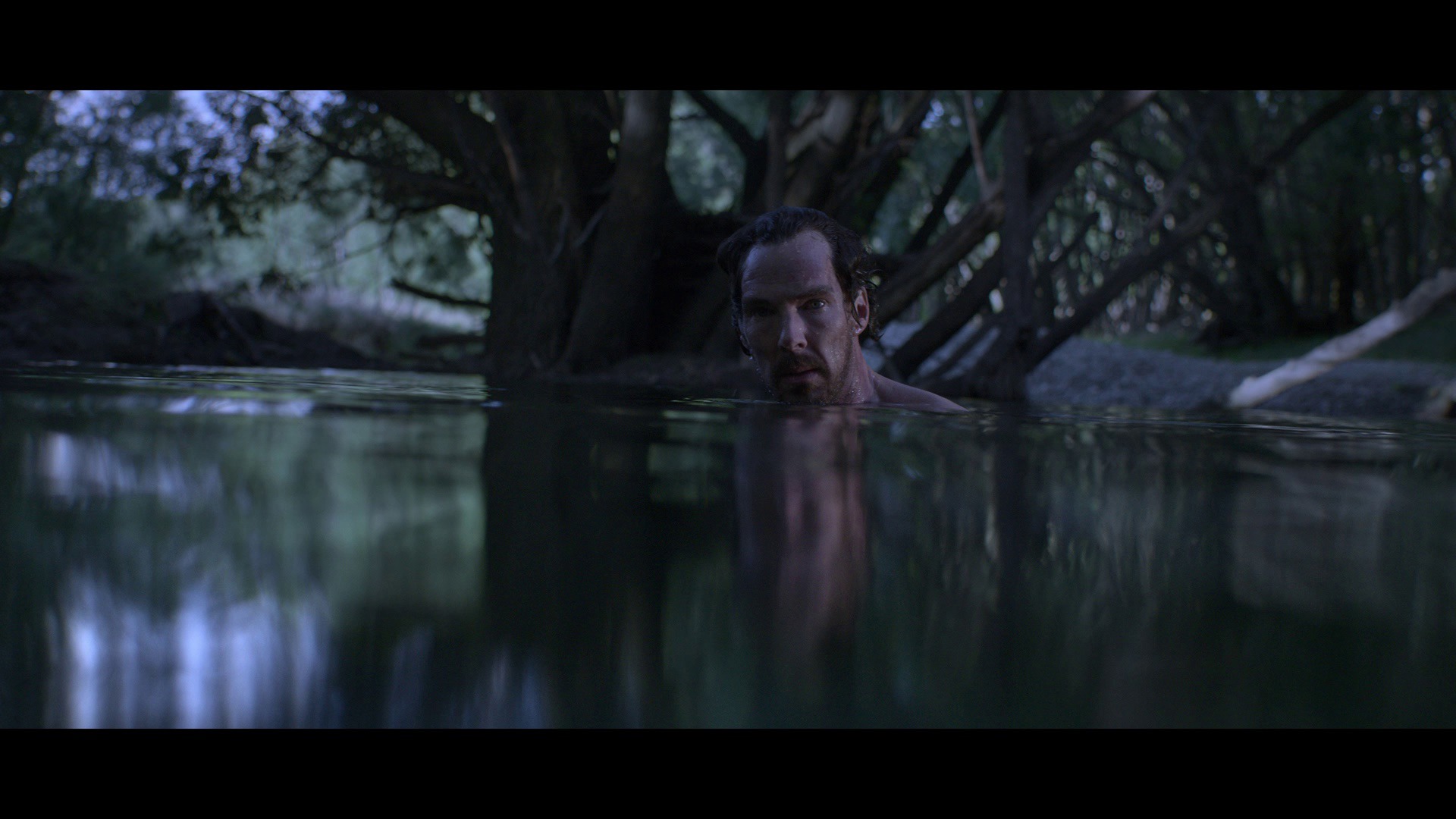 Screen capture from The Power of the Dog