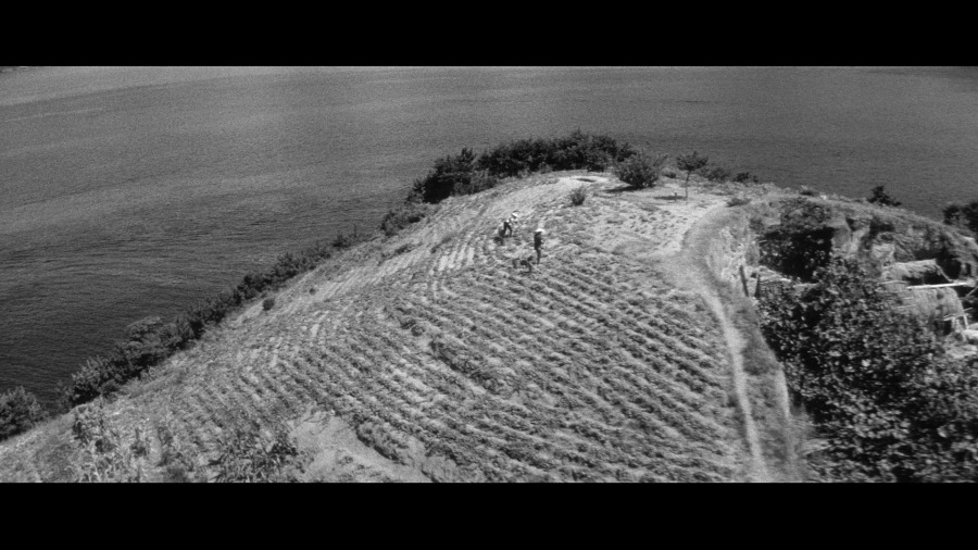 Screen capture from The Naked Island