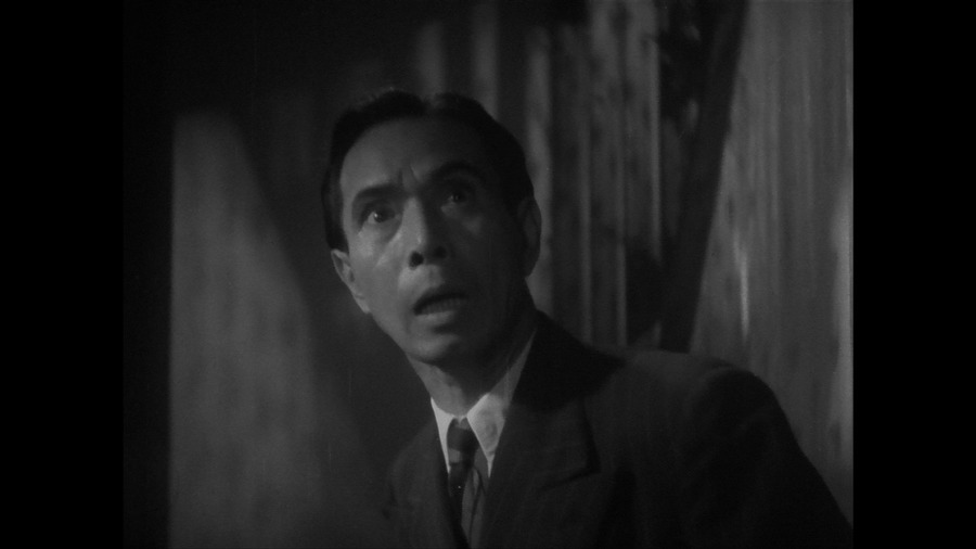 Screen capture from The Invisible Man Appears/The Invisible Man Vs. The Human Fly