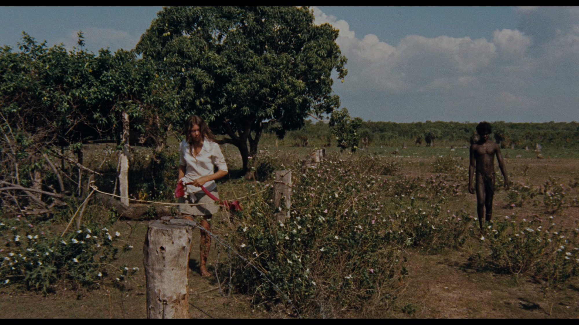 Screen capture from Walkabout