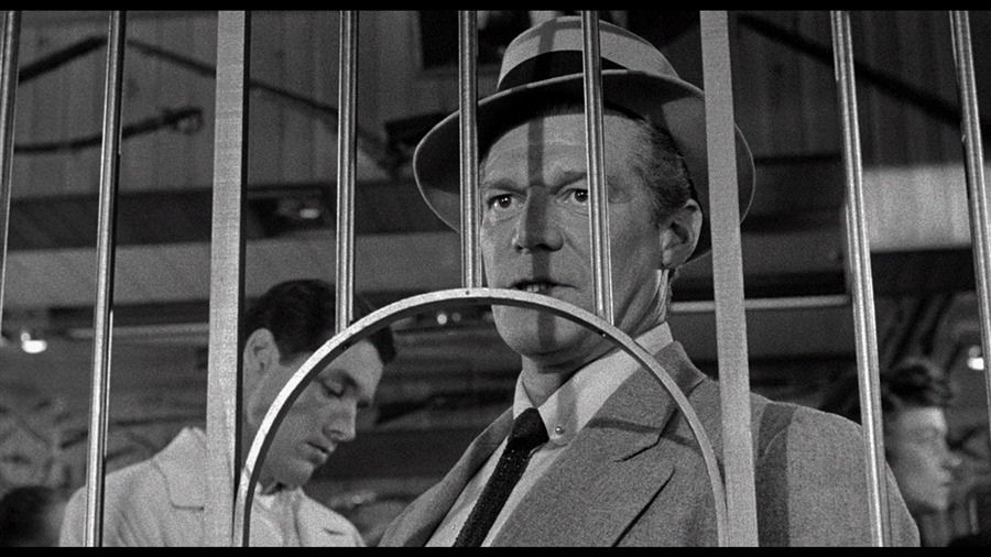 Screen capture from 5 Against the House