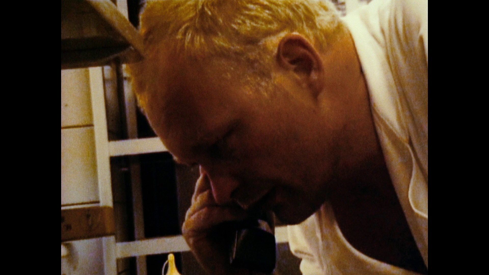 Screen capture from The Celebration