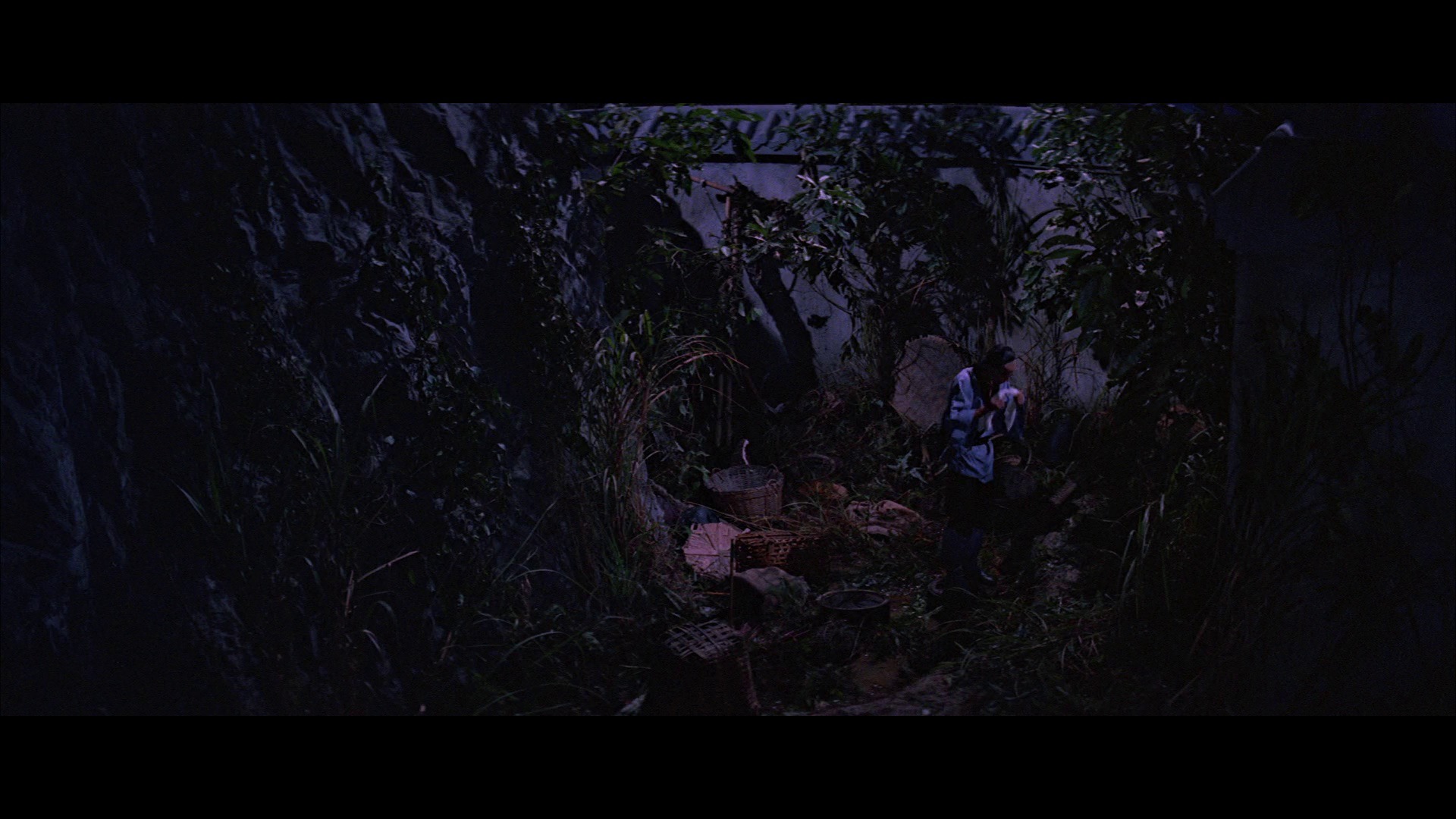 Screen capture from Shawscope: Volume Two