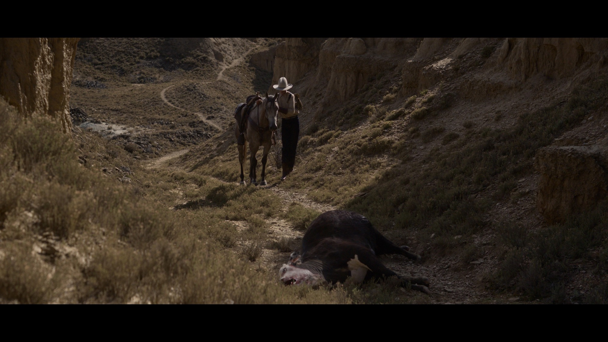 Screen capture from The Power of the Dog