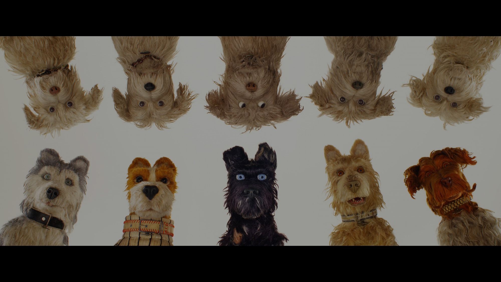Screen capture from Isle of Dogs