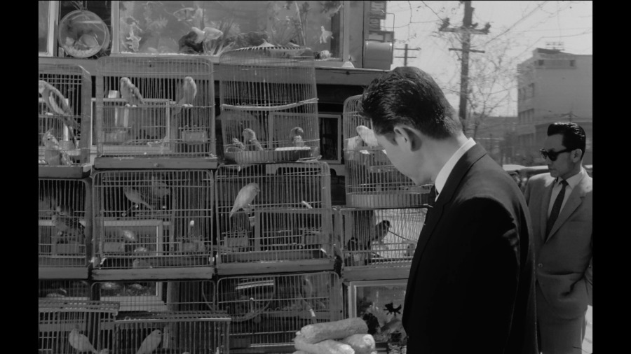 Screen capture from Trances / The Housemaid