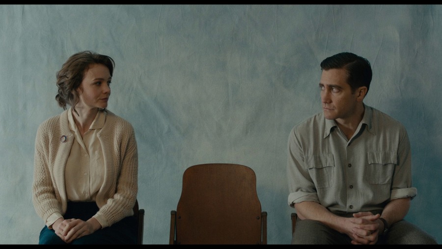Screen capture from Wildlife