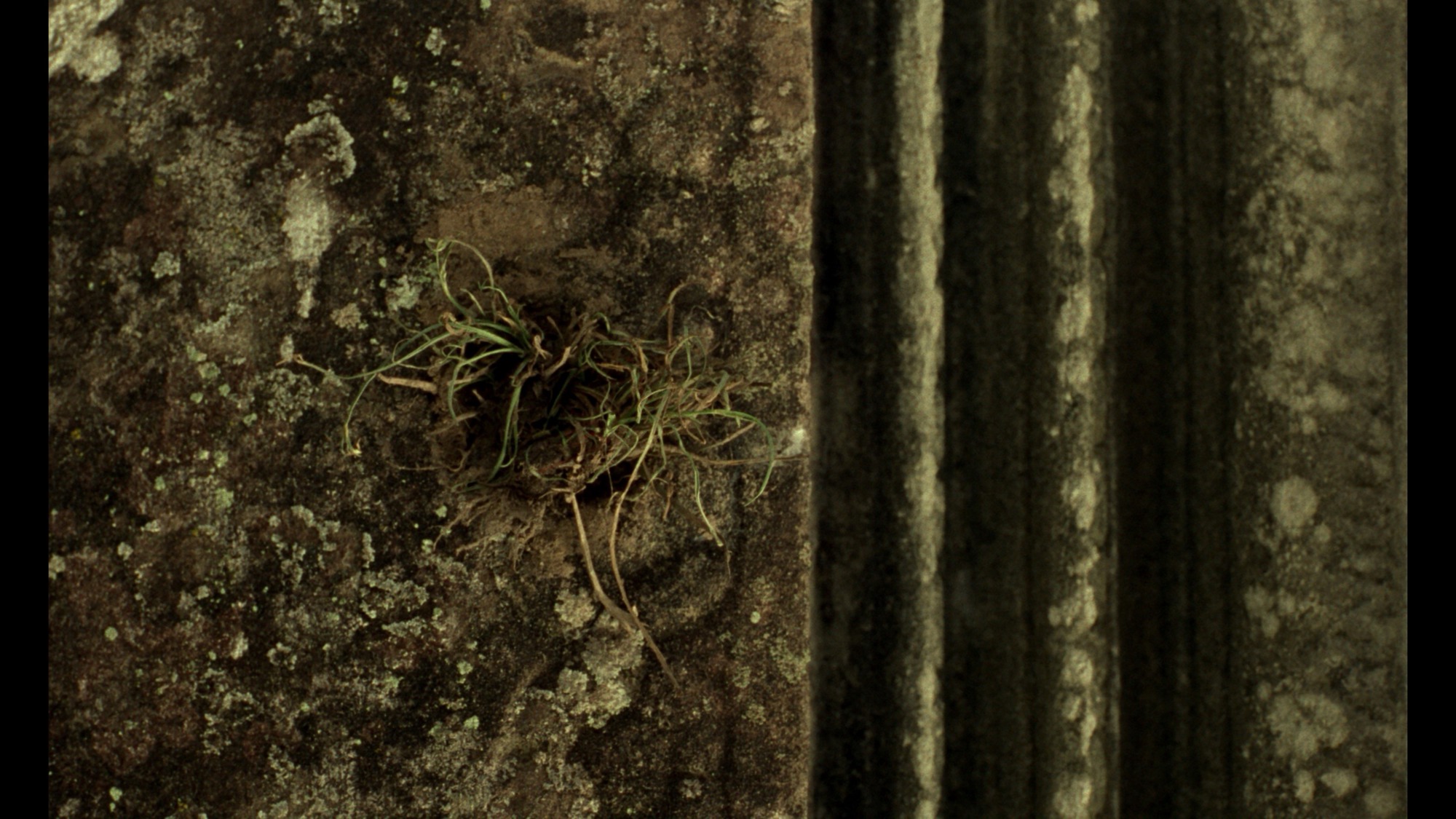 Screen capture from In the Mood for Love