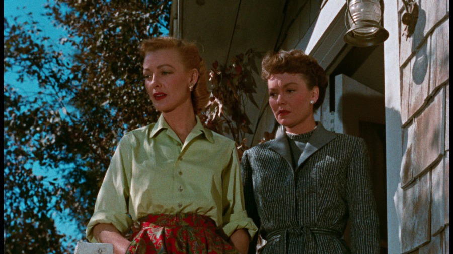 Screen capture from All That Heaven Allows