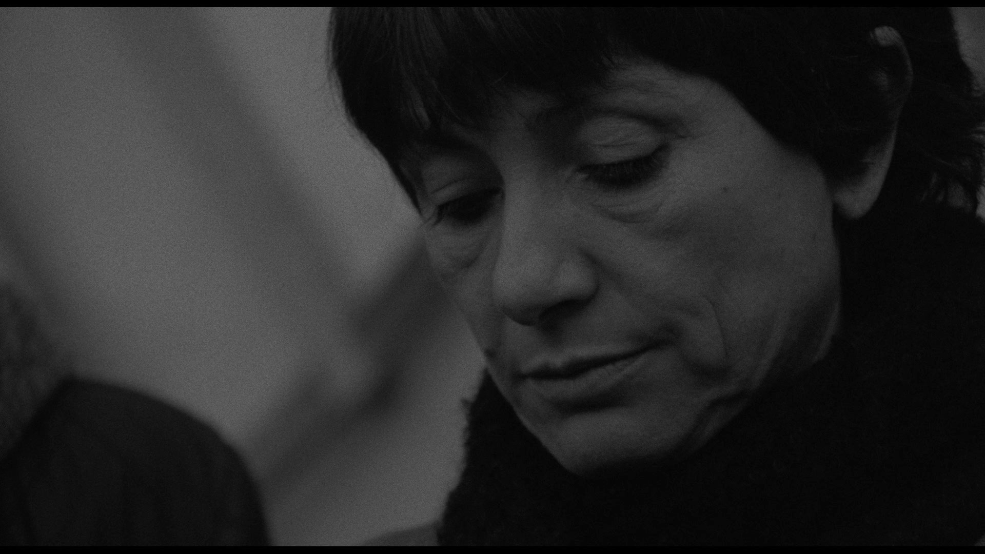 Screen capture from Adoption