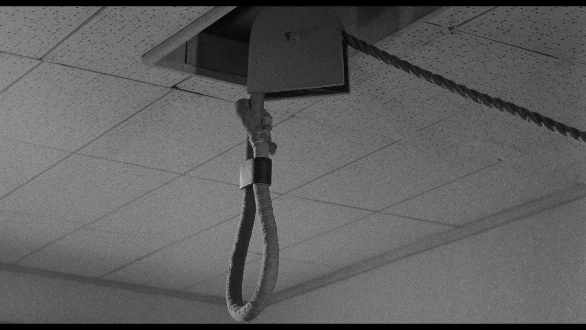 Screen capture from Radical Japan: Cinema and State