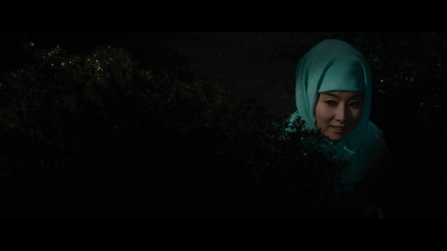 Screen capture from An Actor's Revenge