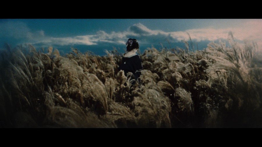 Screen capture from An Actor's Revenge