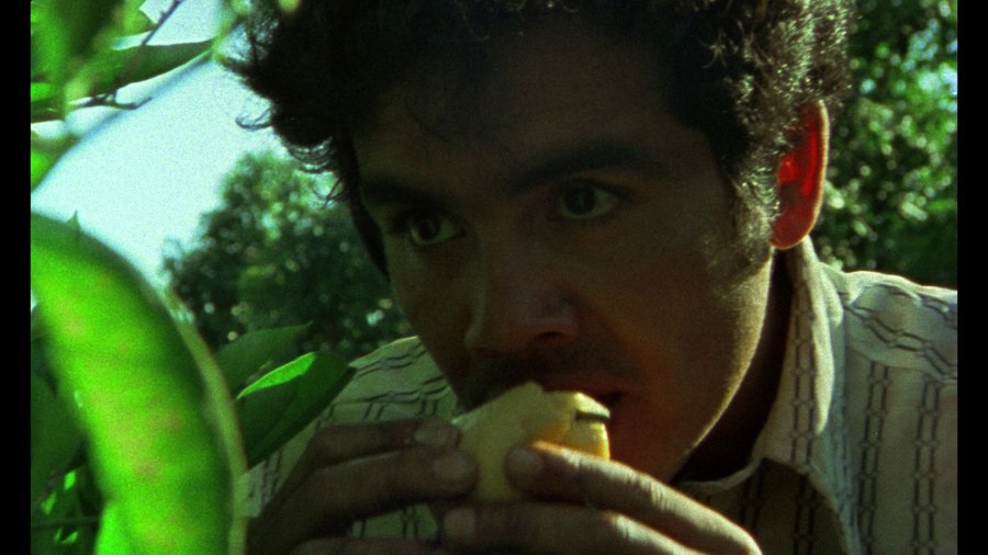 Screen capture from ¡Alambrista!
