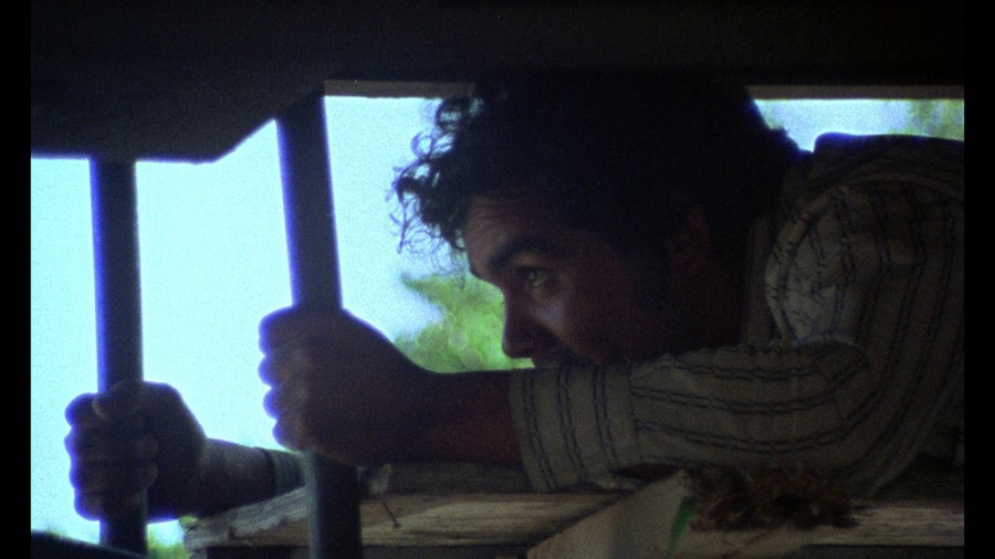Screen capture from ¡Alambrista!